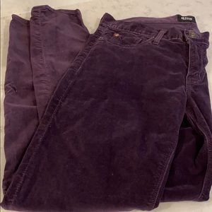 SOLD Hudson Velvet Jean